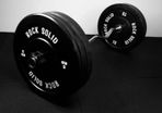 Ez curl barbell + bumper plates (68kg)
