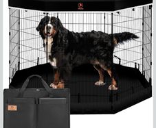 Puppy pen