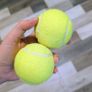 dog tennis balls Image 2