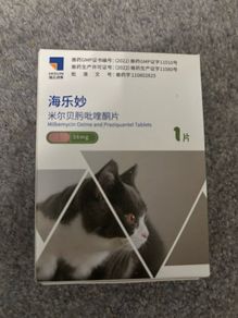cat tablets