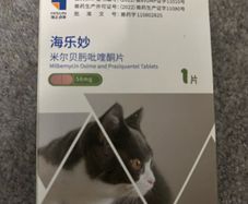 cat tablets