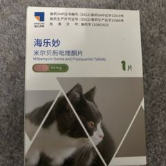 cat tablets