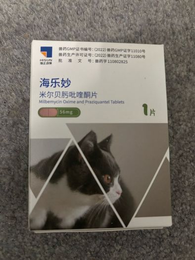 cat tablets