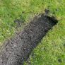 Top soil Image 5