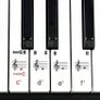 61 Key Keyboard Portable Keyboard Piano with Music Stand, Power Supply and Note Key Stickers (FREE POSTAGE) Image 3
