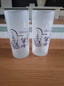 Disneyland frosted Glass