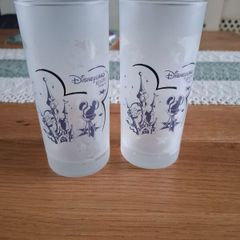 Disneyland frosted Glass