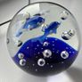X2 vintage beautiful glass paper weights these sell for up to and over 125 each I'm selling 2 for 100 over 30 years old Image 5