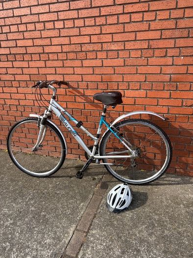 raleigh bike
