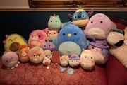 Squishmallows lot 1