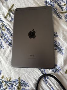 iPad mini 5th Gen 256gb with sim