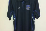 waterford gaa polo