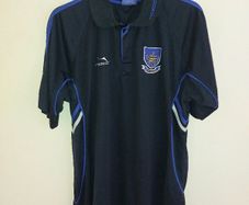 waterford gaa polo