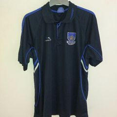 waterford gaa polo