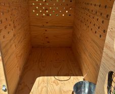 dog transport crate