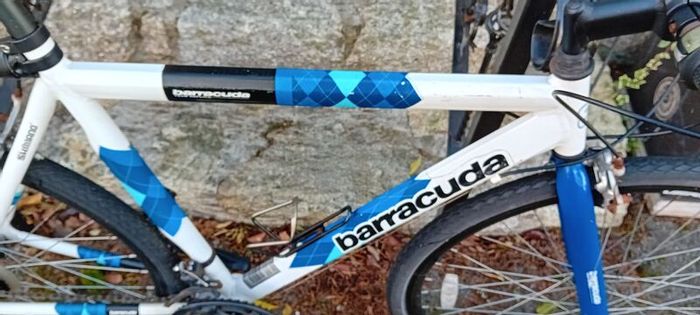 Racer Bargin