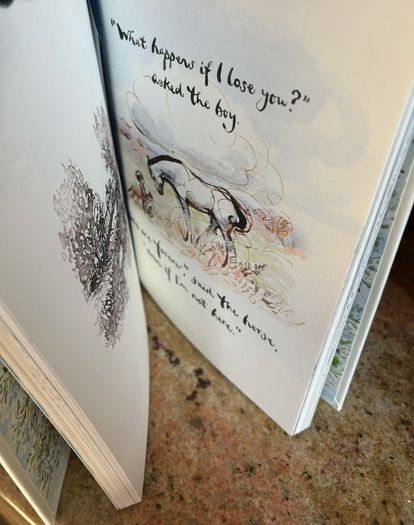 BRWND NEW - Childrens hardback books (2)