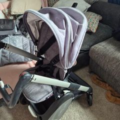 bugaboo ant stroller