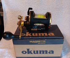 Okuma magnetix