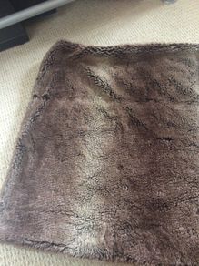 cushion covers