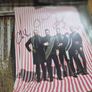 Decemberists Vinyl Bundle Image 2