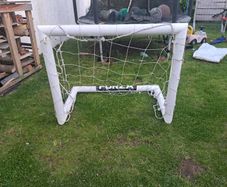 Forza mini goal