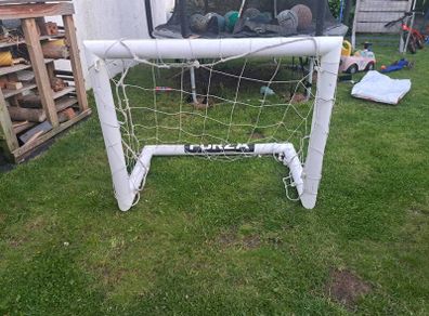 Forza mini goal
