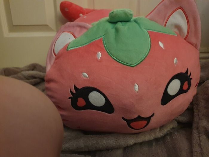 Aphmau Strawberry Cat