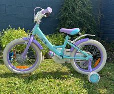 Frozen 16" girls bike