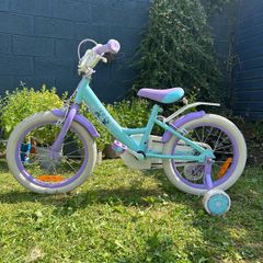 Frozen 16" girls bike