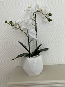 Fake orchid