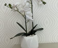 Fake orchid