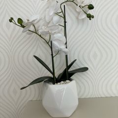 Fake orchid