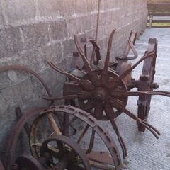 Pierce potato digger