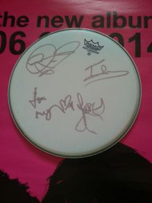 Kasabian Autograph Full set of 4 on Drumskin