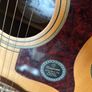 Tanglewood Tw 155 st electro acoustic guitar Image 5