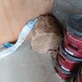 Rockwool Image 2