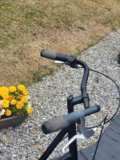 Ladies Bike Ready To Use