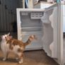 Small PowerPoint fridge Image 4