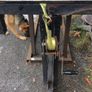 Adjustable Work bench Image 2