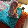 jellycat pink bunny Image 5