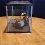 Fish Tank for sale until midnight tonight 29th April Image 2