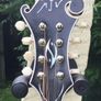 Vanden Mandolin Image 5