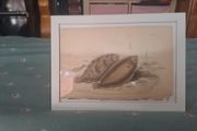 Antique fish prints 1840
