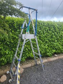 Platform Ladder