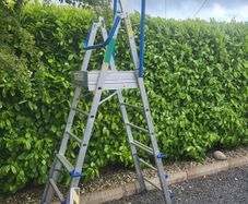 Platform Ladder