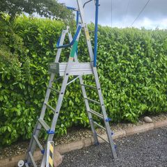 Platform Ladder