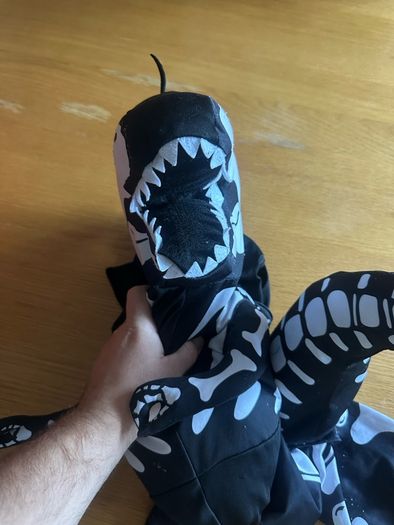 Dinosaur Kids Costume