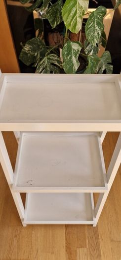 Ladder shelf