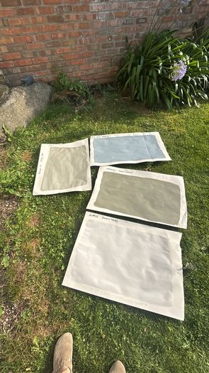 Multiple paint samples